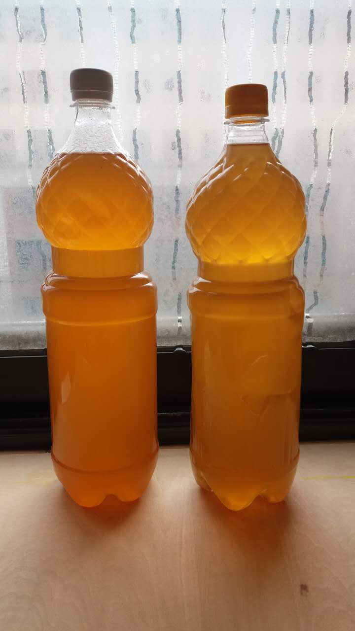 求购俄罗斯蜂蜜