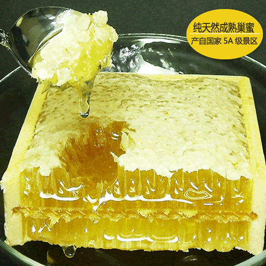 蒙山蜂人 新鲜封盖蜂巢蜜500g上市 新巢蜜 原蜜