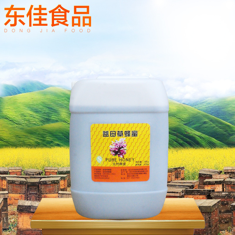 求购益母草蜂蜜  润肺蜂蜜  散装天然农家自产土蜂蜜批发