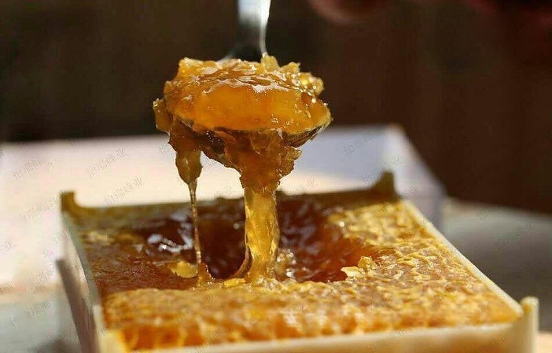 巢蜜厂家大量求购蜂巢蜜 高纯蜂巢蜜  新巢蜜 全透明巢蜜盒