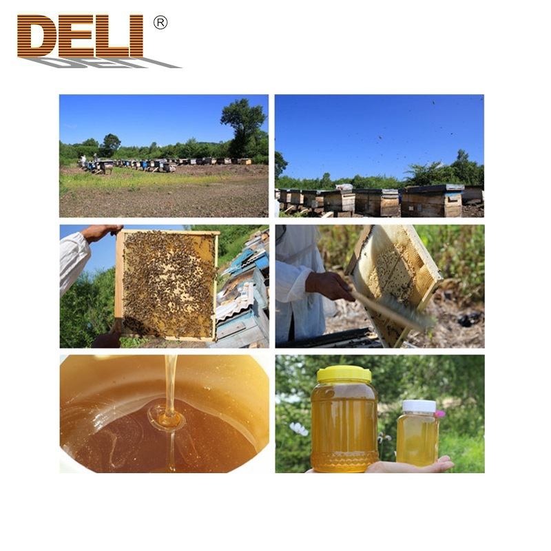 天然椴树蜜 滋补正品500克优质椴树蜂蜜 蜂场直销 OEM专业代工