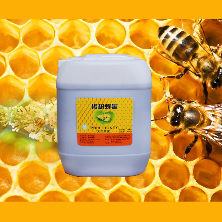 厂家供应28kg桶装椴树蜂蜜 批发天然农家散装土蜂蜜42度