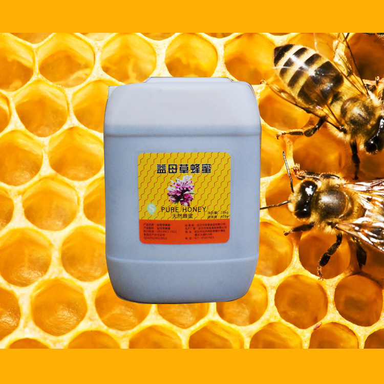 厂家批发散装蜂蜜 28kg桶装益母草蜂蜜 天然农家散装土蜂蜜42度