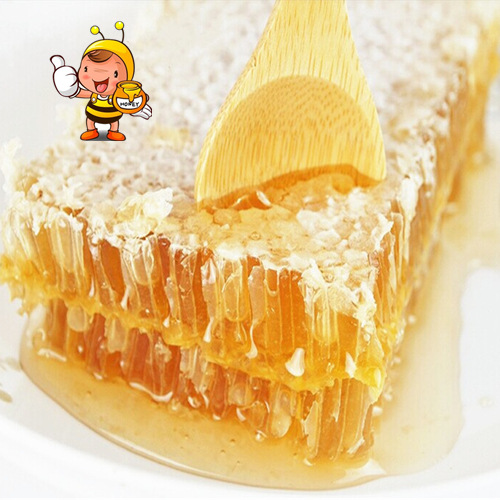 养蜂人自产蜂巢蜜500g 椴树蜜 荆条蜜胜土蜂蜜 新巢蜜 蜂蜜 巢蜜