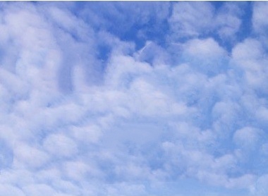 五味子蜂蜜,遥感五味子,桑椹五味子生产配方加工工艺专题