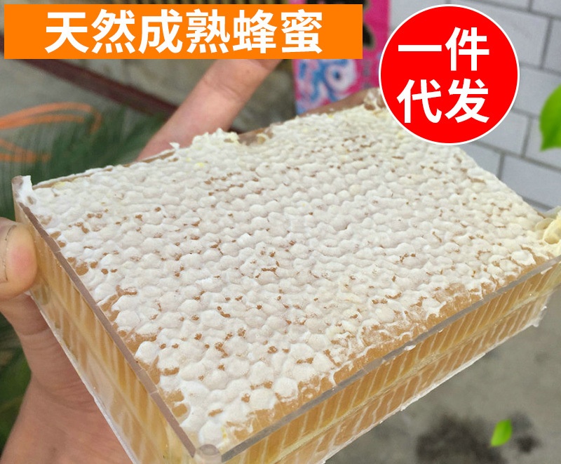 批发500荆条花蜂巢蜜 盒装原筑蜂巢蜜 蜂农自销自销格子蜂蜜