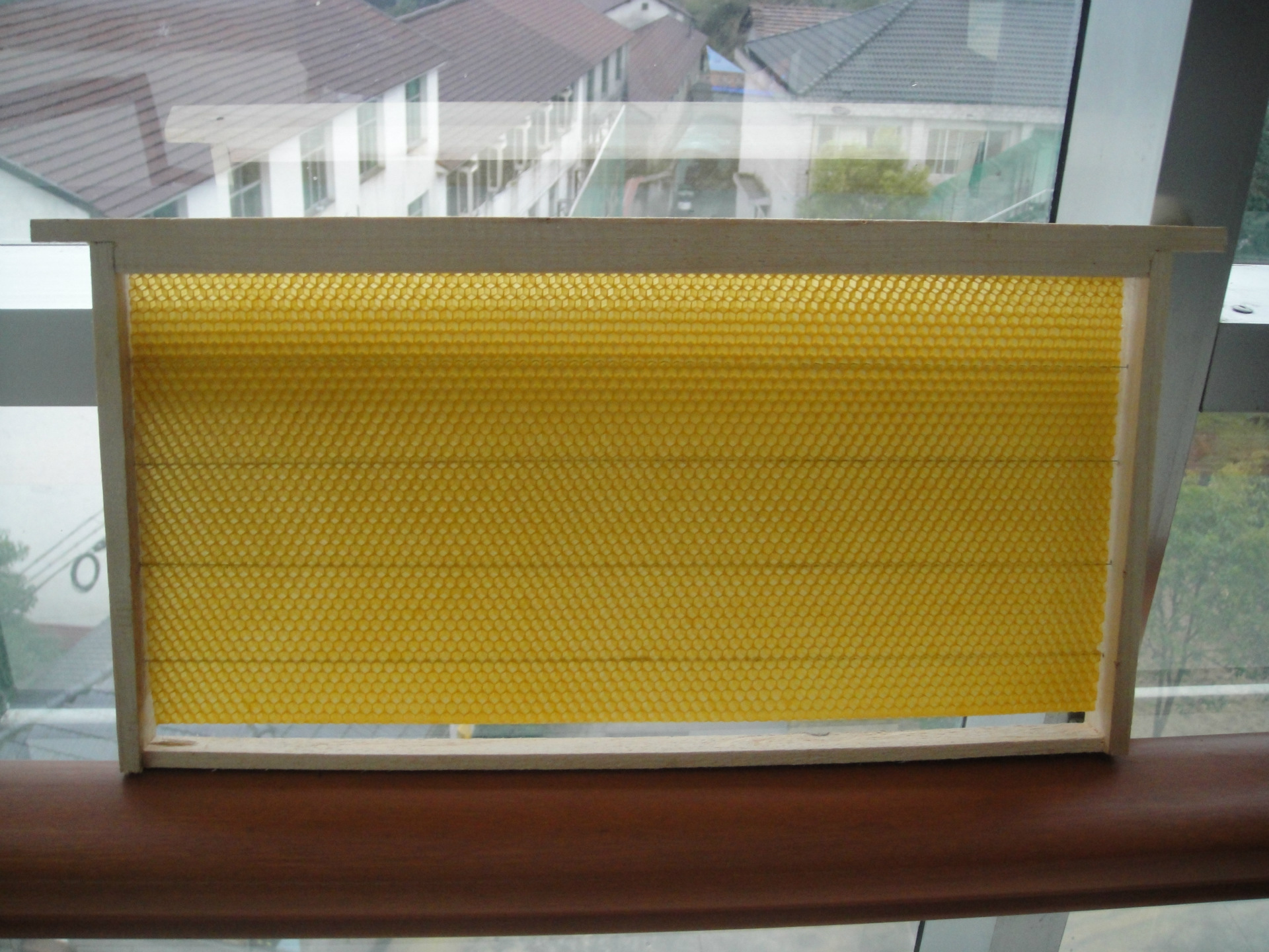 供应巢础，巢蜜，巢筐出口，巢础出口