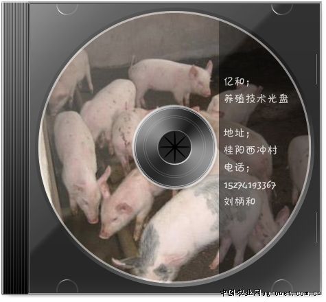 供应古楼西冲村农产品鸡