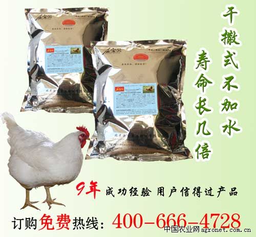 供应发酵床生态鸡