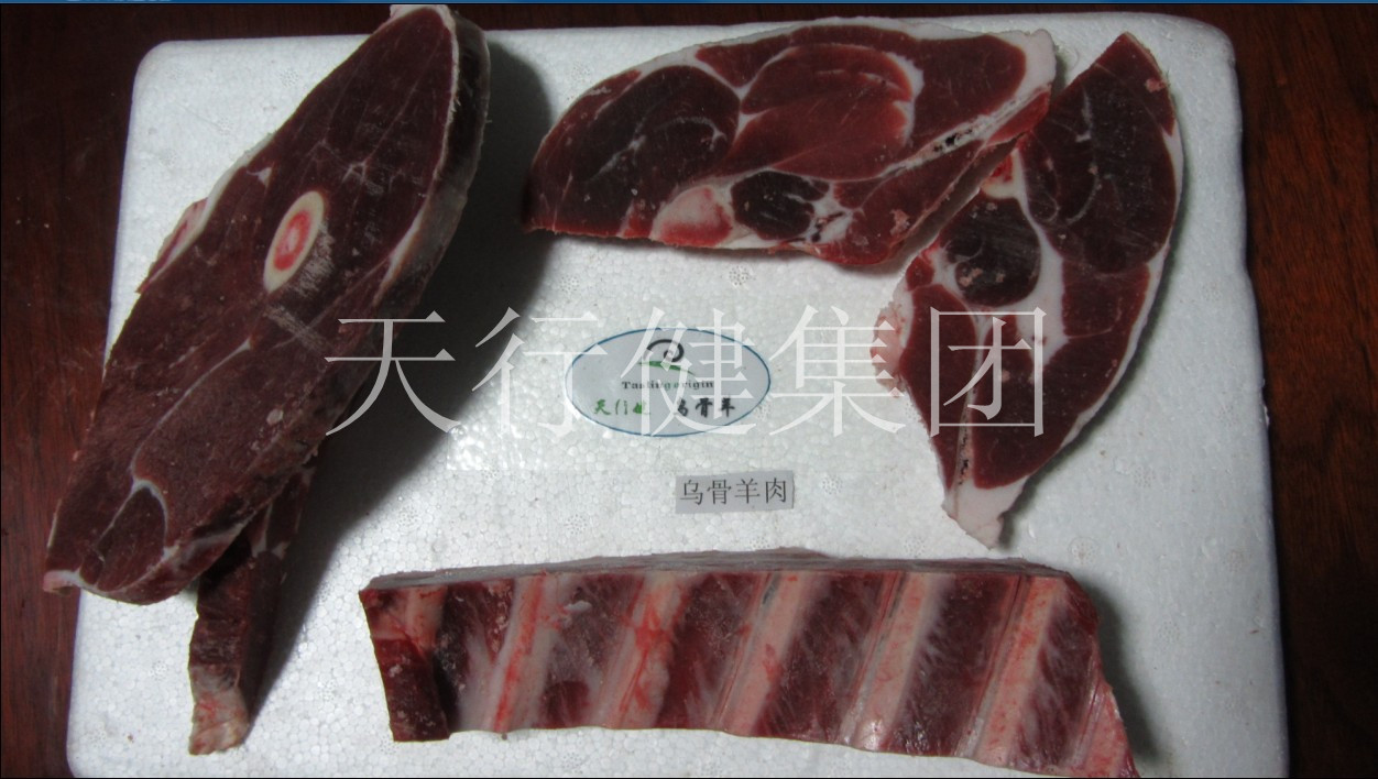 供应天行健乌骨羊