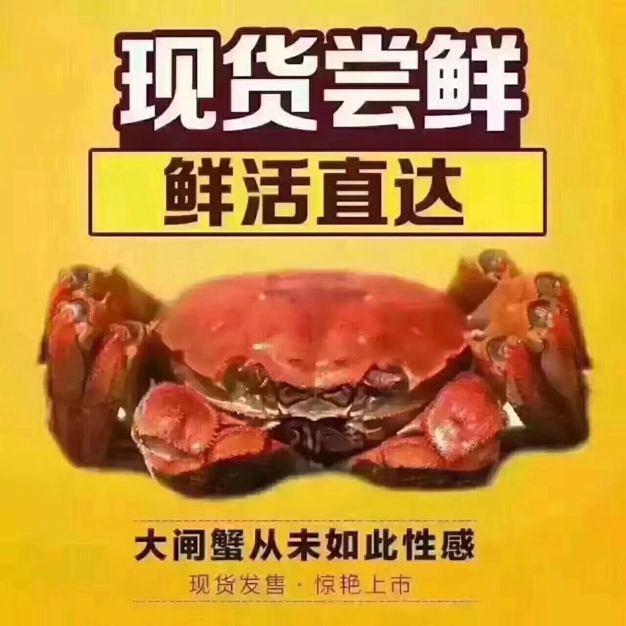 供应兴化红膏大闸蟹