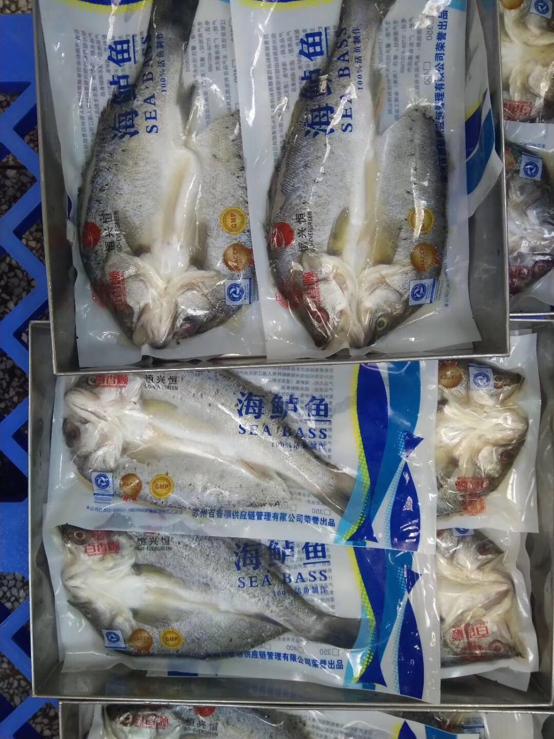 供应鲈鱼