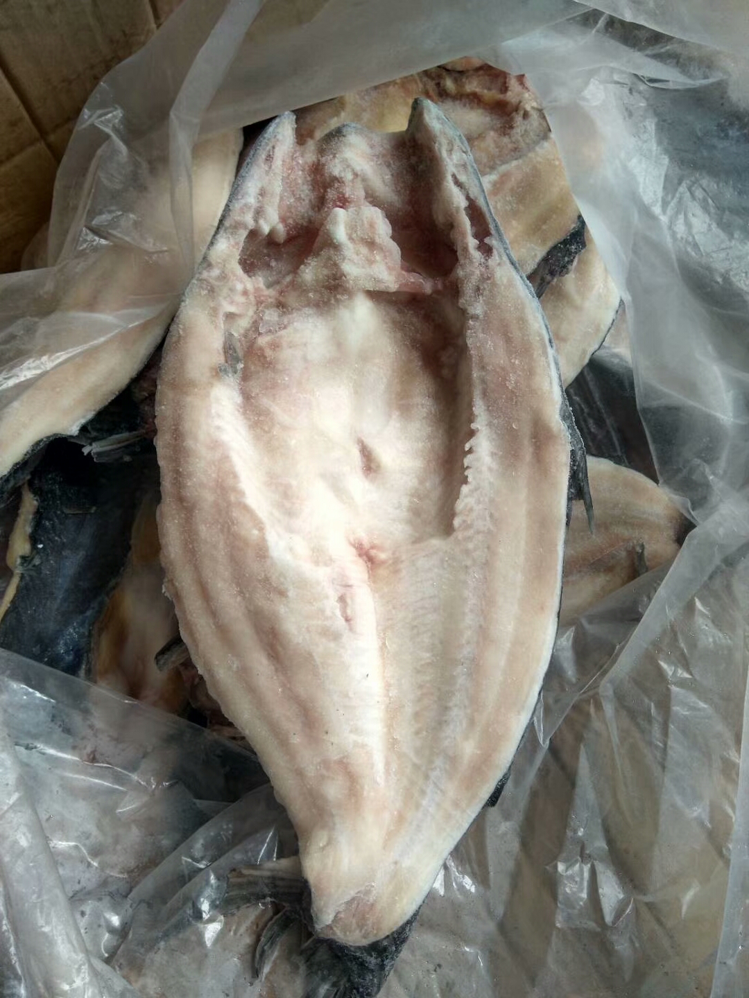 供应巴沙鱼