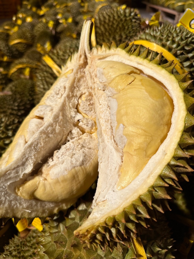 泰国金枕榴莲
