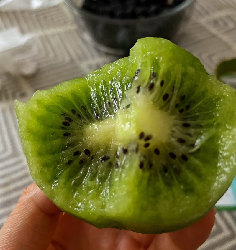 泰山一号猕猴桃