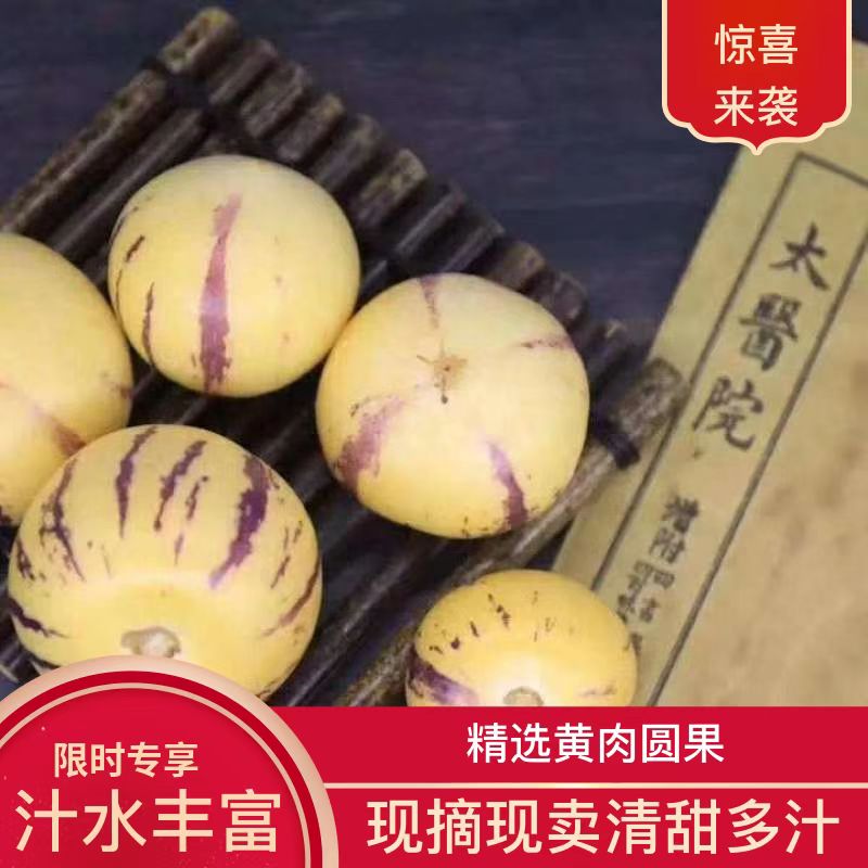 人参果-圆果中果