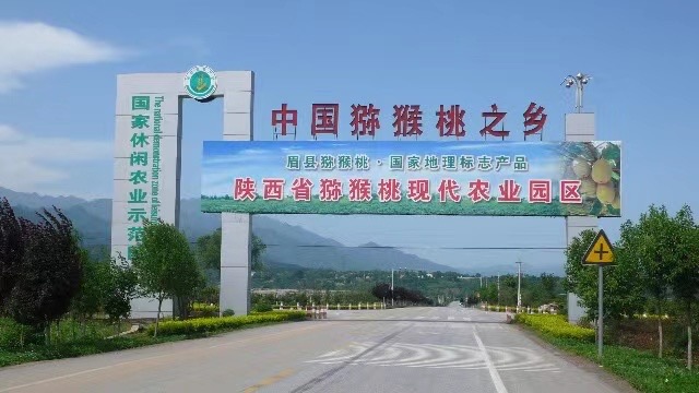 眉县徐香猕猴桃 批发 一件代发