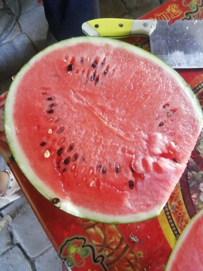 陕西甜王西瓜批发陕西京欣西瓜产地价格冠龙西瓜基地价格
