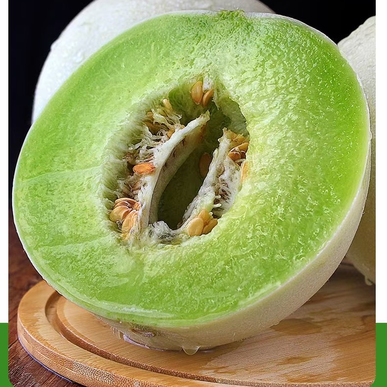 玉菇甜瓜大量上市