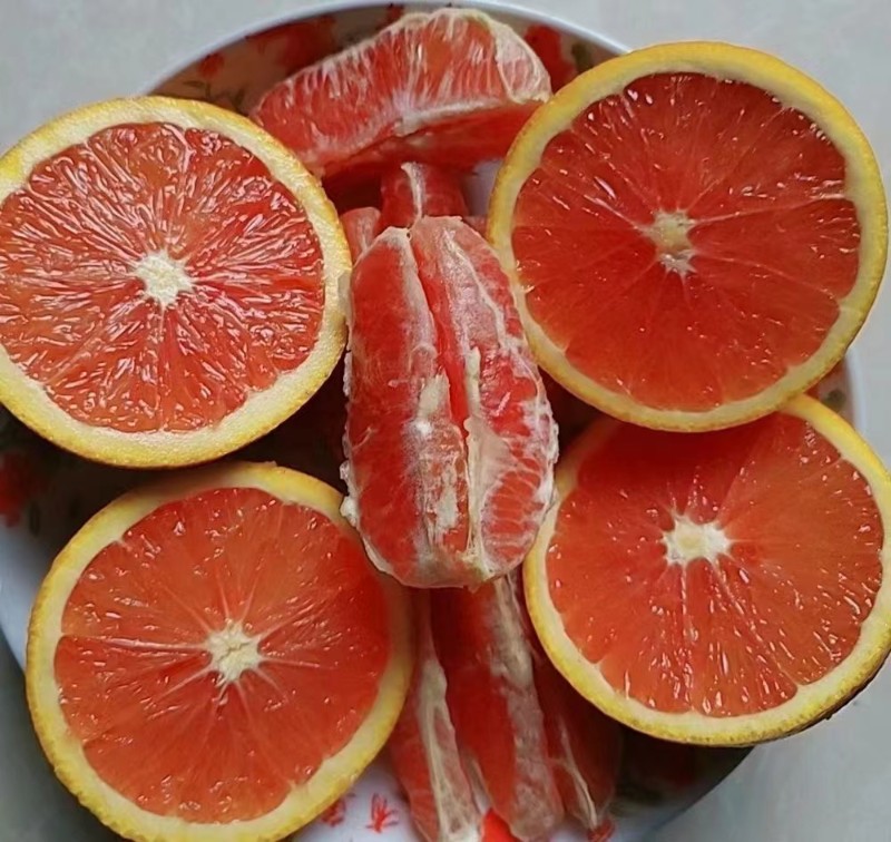 云阳红橙