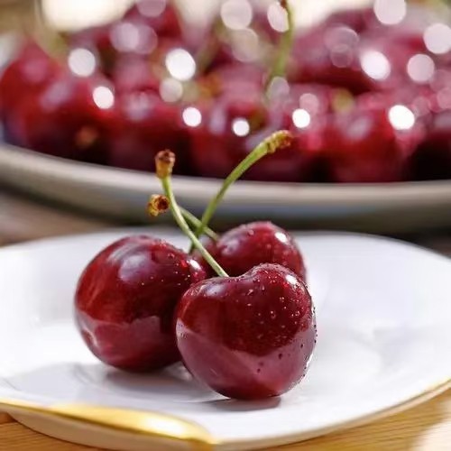 车厘子——樱桃