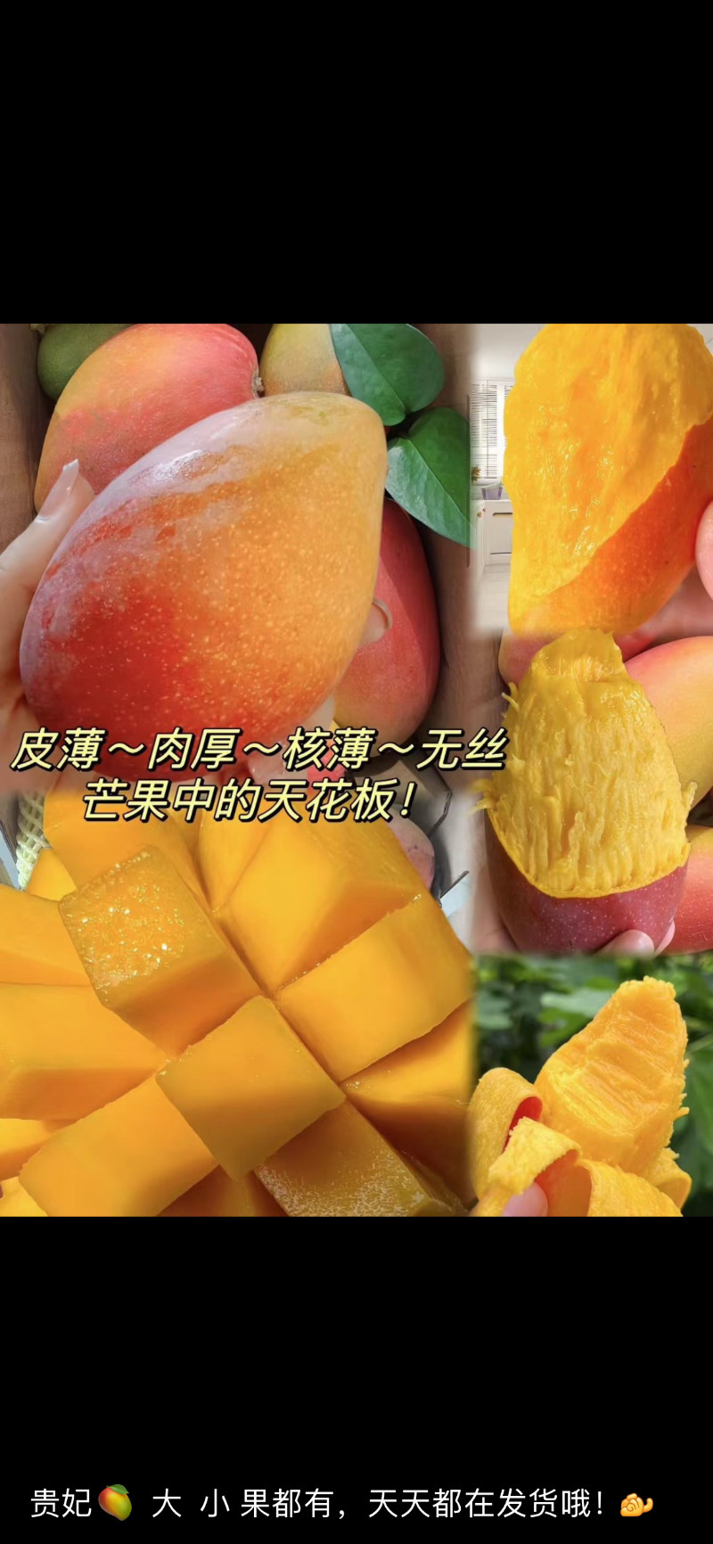 贵妃芒