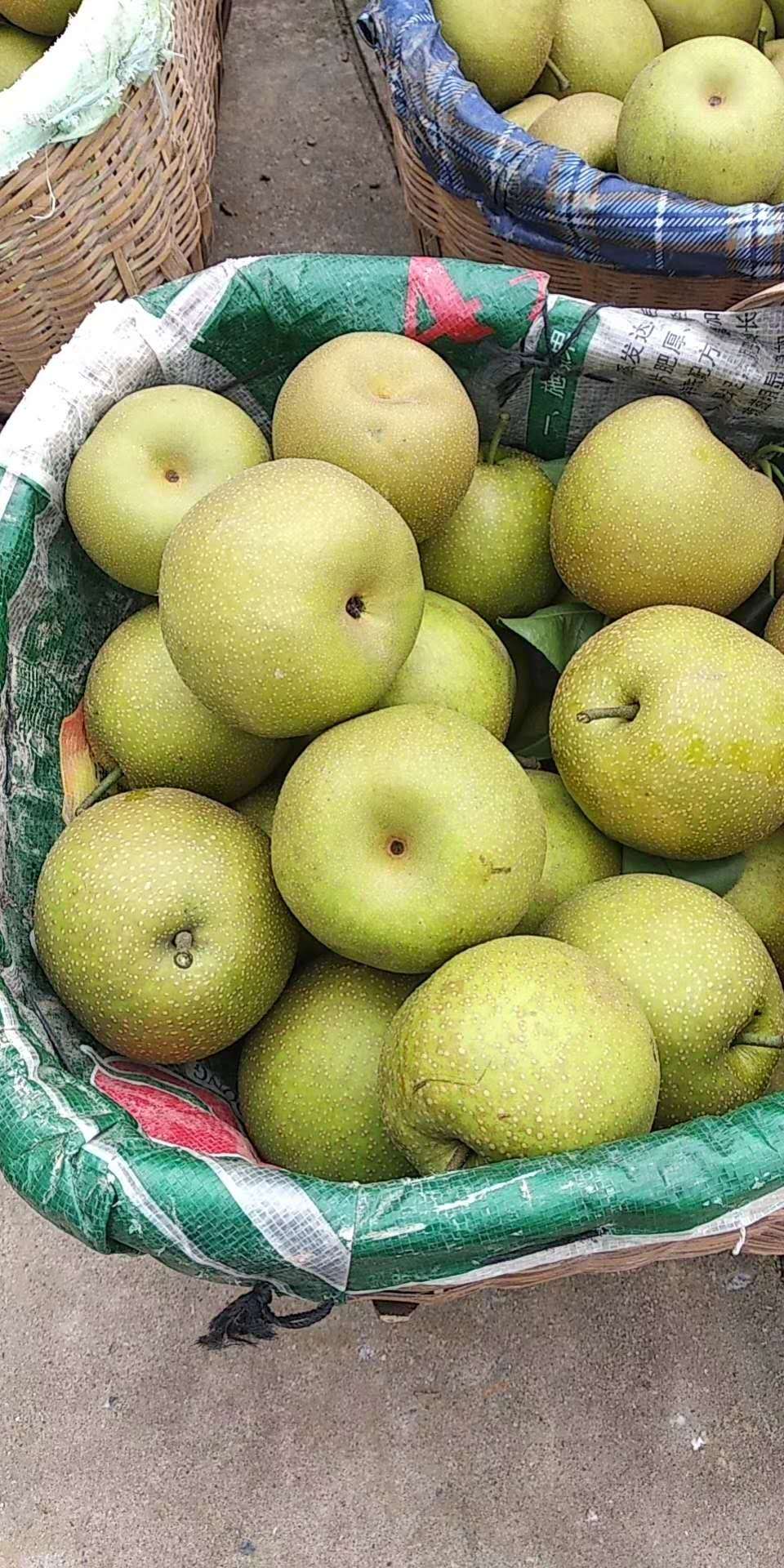 湖北五三农场屈家岭突围毛桃大量上市，欢迎电联：1。3。9。9。7。9。2。4。1。1。3。