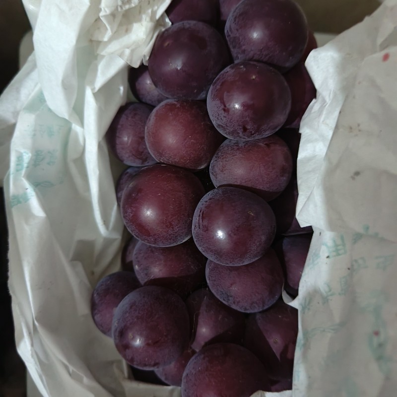 巨峰葡萄