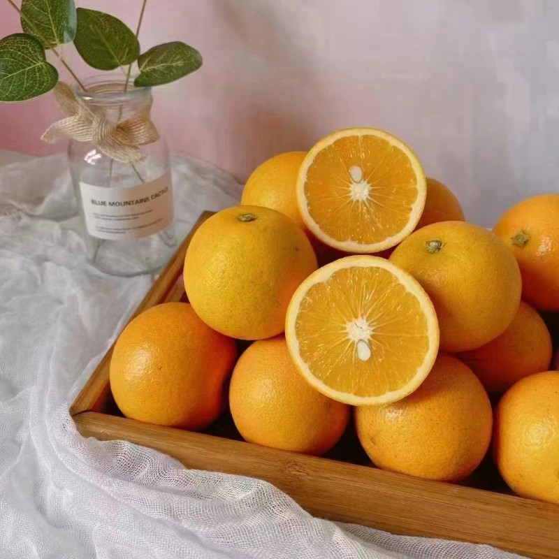 麻阳冰糖橙量大优惠