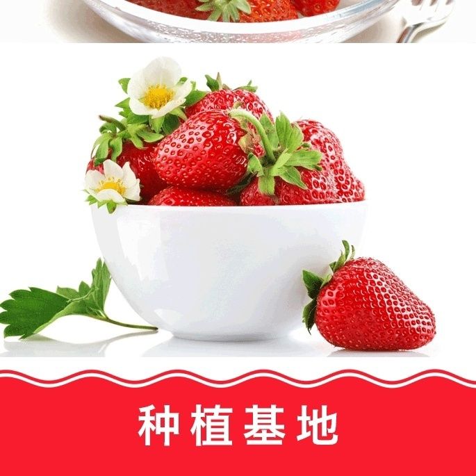 草莓