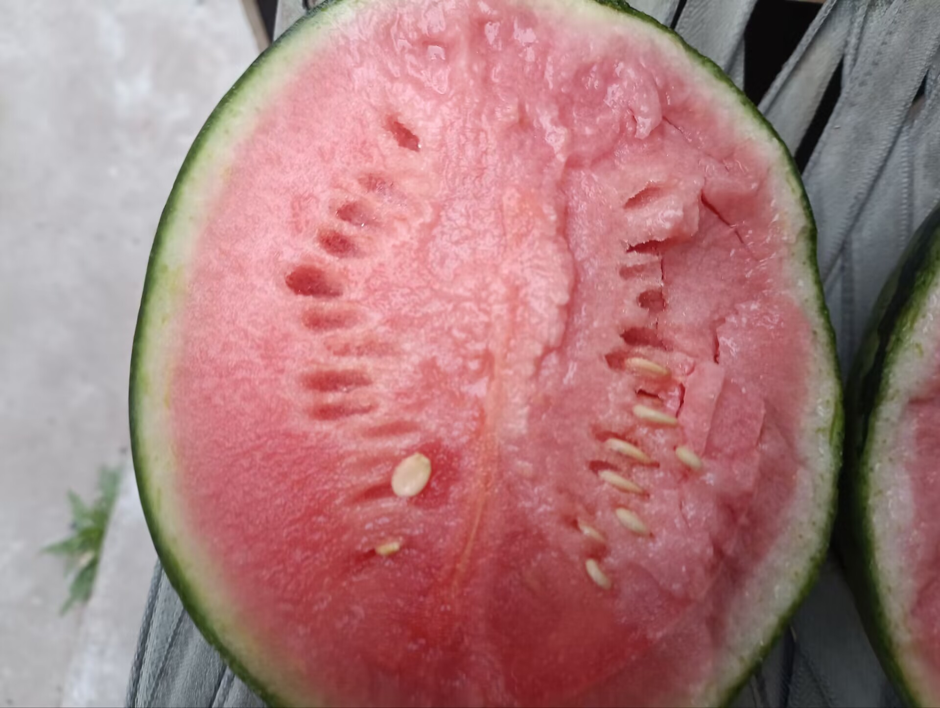 西瓜