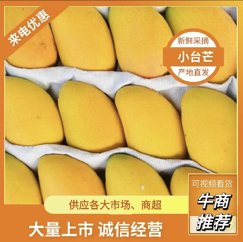 山东临沂小台芒三两以上市场批发货 电商货
