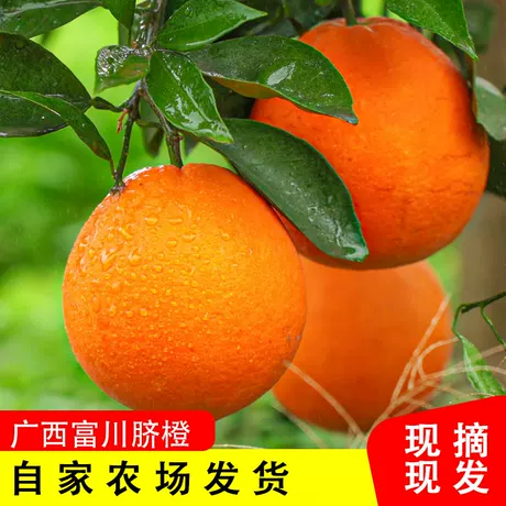富川脐橙