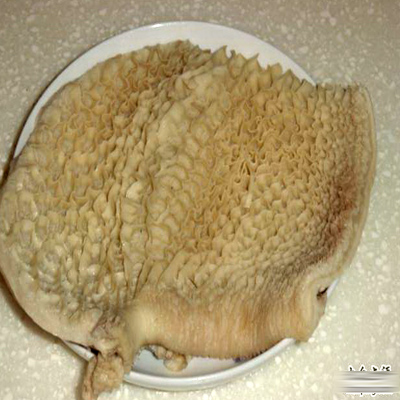 供应进口冷冻牛肚牛排牛腱