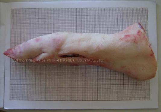 供应河南514冷冻猪蹄猪脚