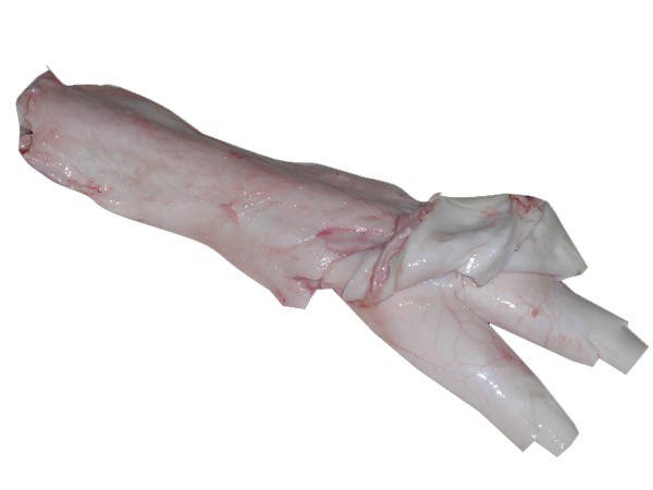 供应澳洲进口冷冻牛蹄筋牛脊骨