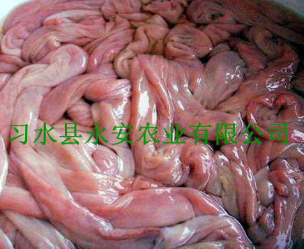 供应猪小肠