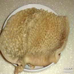 供应巴西牛肚，牛黄瓜条