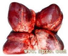 求购进口冷冻猪心