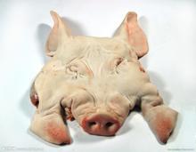 供应进口冷冻猪头