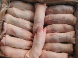 供应冷冻美国254猪蹄