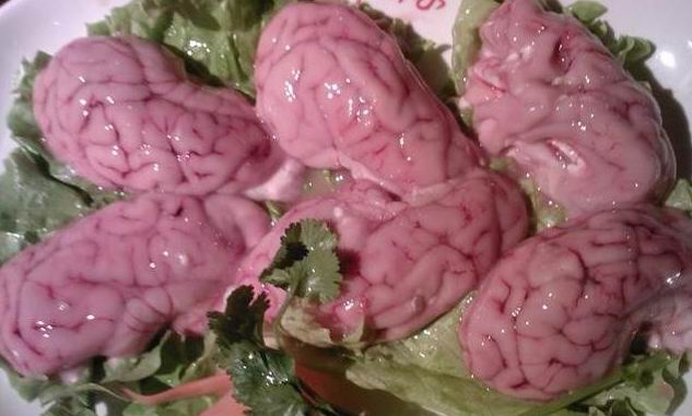 求购牛脑 猪脑 羊脑