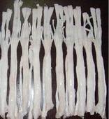 供应冷冻猪蹄筋