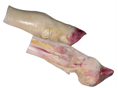 求购进口冷冻牛蹄