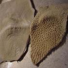 供应冷冻牛百叶