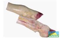 供应冷冻牛蹄、牛脚、牛心