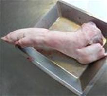 供应进口冷冻猪蹄