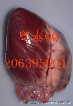 供应进口冷冻猪副食品猪心，猪腰，猪拱嘴等