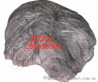 供应进口冷冻牛副食品金钱肚，牛百叶，牛鞭等