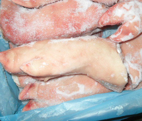 供应一级冷冻猪脚